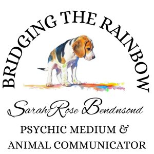 Bridging the Rainbow_WEB Bridging the Rainbow_WEB