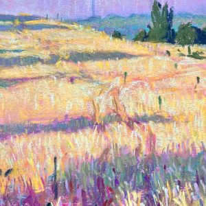 Heather-Friedel_WEB Heather-Friedel_WEB