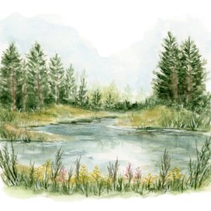 Lois-Justrabos_WEB