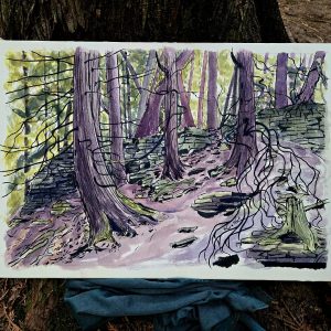 LoloCedars – Logan Soeder_WEB LoloCedars - Logan Soeder_WEB