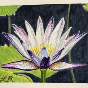 Lynne Ramage - “Floating Water Lily”
