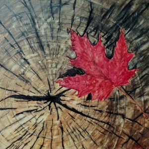 Tiiu-Van-Winckle_WEB